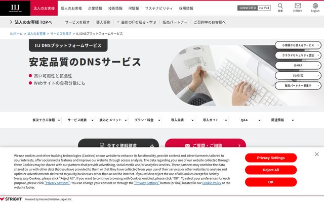 IIJ DNSプラットフォームサービスの公式ページ