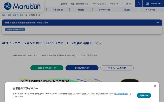 Kebbi Airの公式ページ
