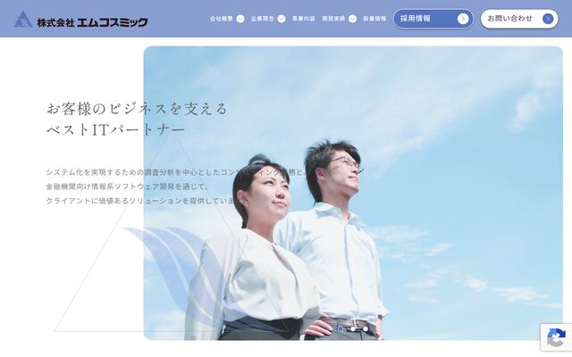 株式会社エムコスミック