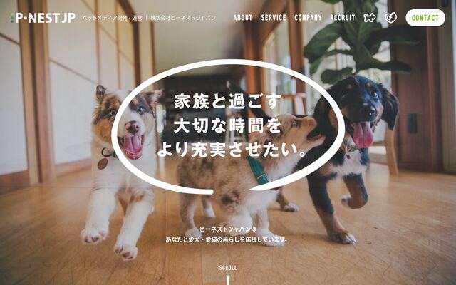 株式会社ピーネストジャパン