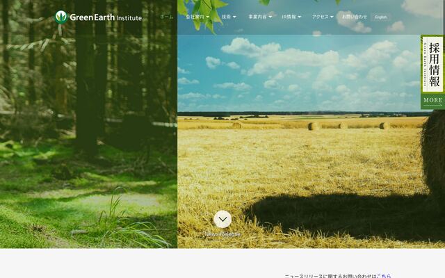 Ｇｒｅｅｎ　Ｅａｒｔｈ　Ｉｎｓｔｉｔｕｔｅ株式会社