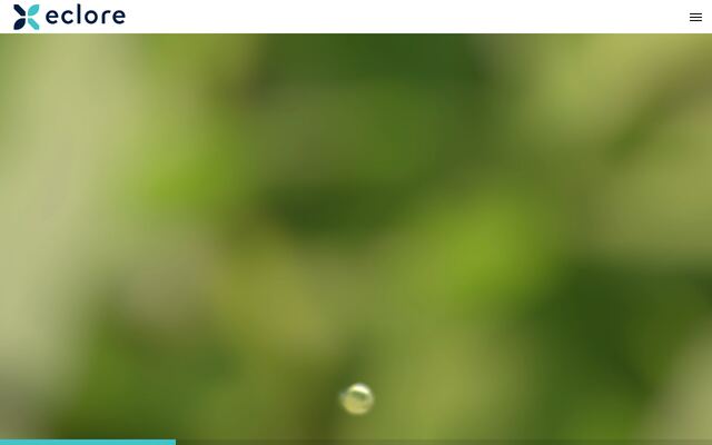 株式会社ecloreの公式サイト