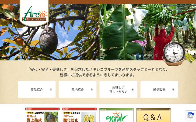 株式会社アルコインターナショナルの公式サイト