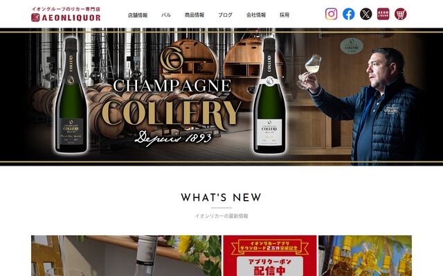 イオンリカー株式会社の公式サイト
