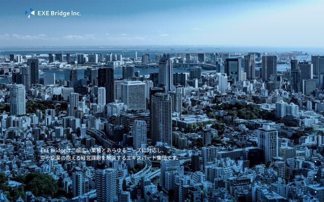 株式会社エグゼブリッジの公式サイト