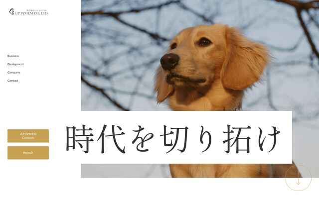 株式会社Ｕ．Ｐ　ＳＹＳＴＥＭの公式サイト