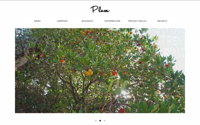 株式会社プラムの公式サイト