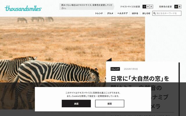 合同会社サウザンスマイルズ
