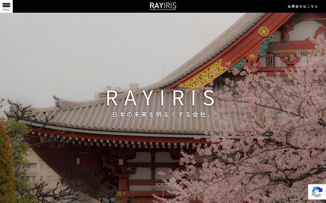 株式会社Rayiris