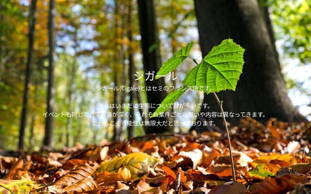株式会社シガールの公式サイト