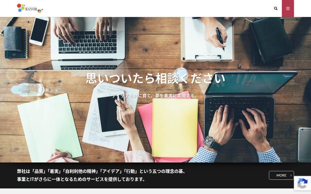 株式会社レイオール