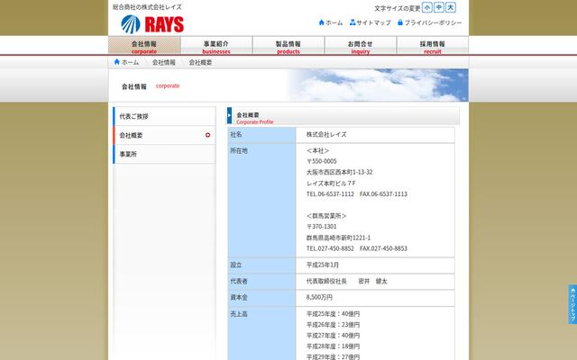 株式会社レイズの公式サイト