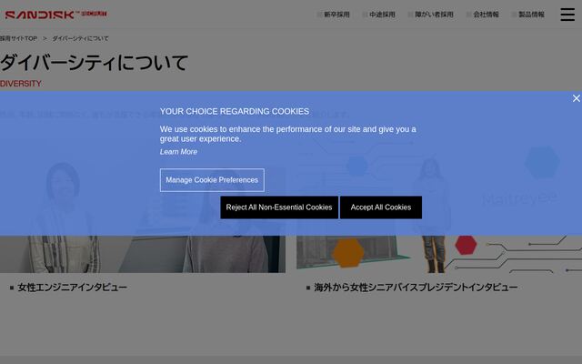サンディスク合同会社の公式サイト