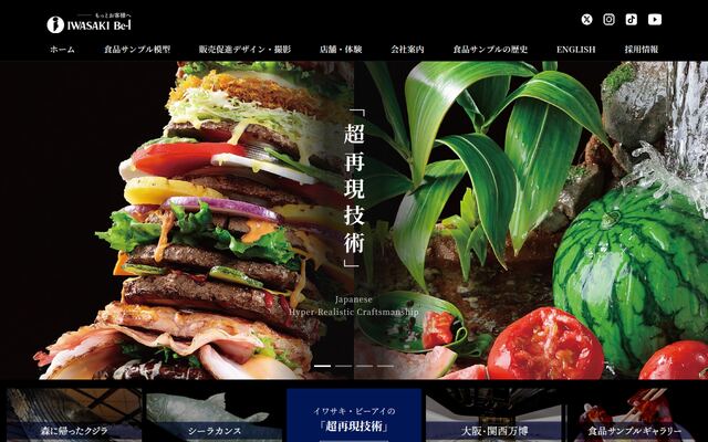 株式会社岩崎