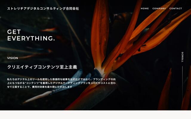 ストレリチアデジタルコンサルティング合同会社の公式サイト