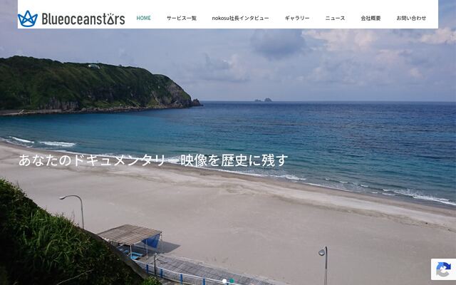 株式会社ブルーオーシャンスターズ