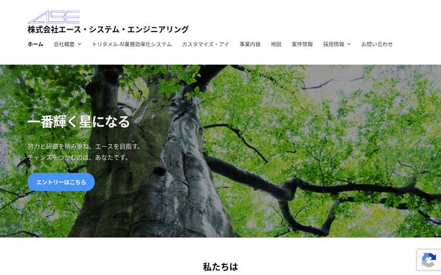 株式会社エース・システム・エンジニアリングの公式サイト