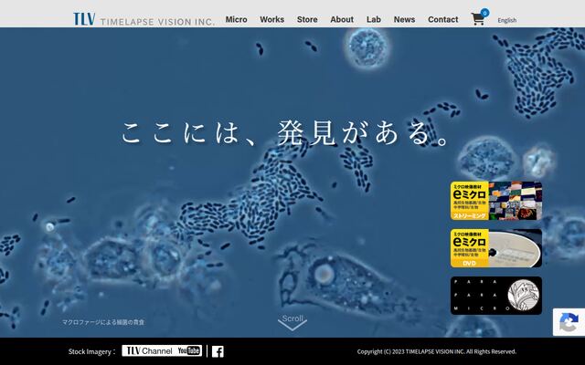 株式会社タイムラプスビジョンの公式サイト