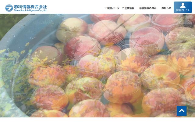 蓼科情報株式会社の公式サイト
