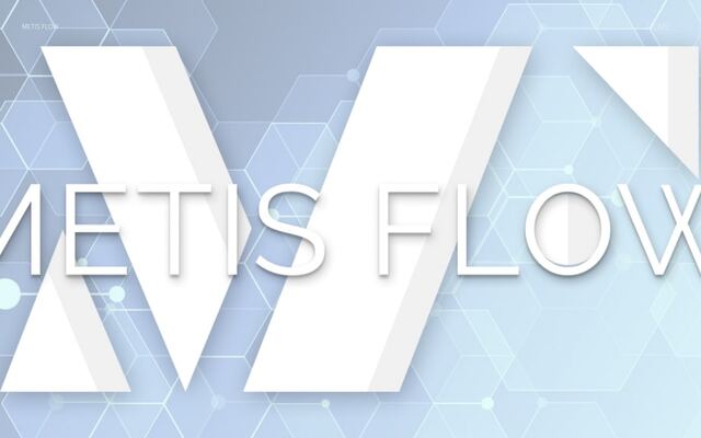 合同会社ＭｅｔｉｓＦｌｏｗの公式サイト
