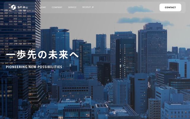 株式会社ストライプ