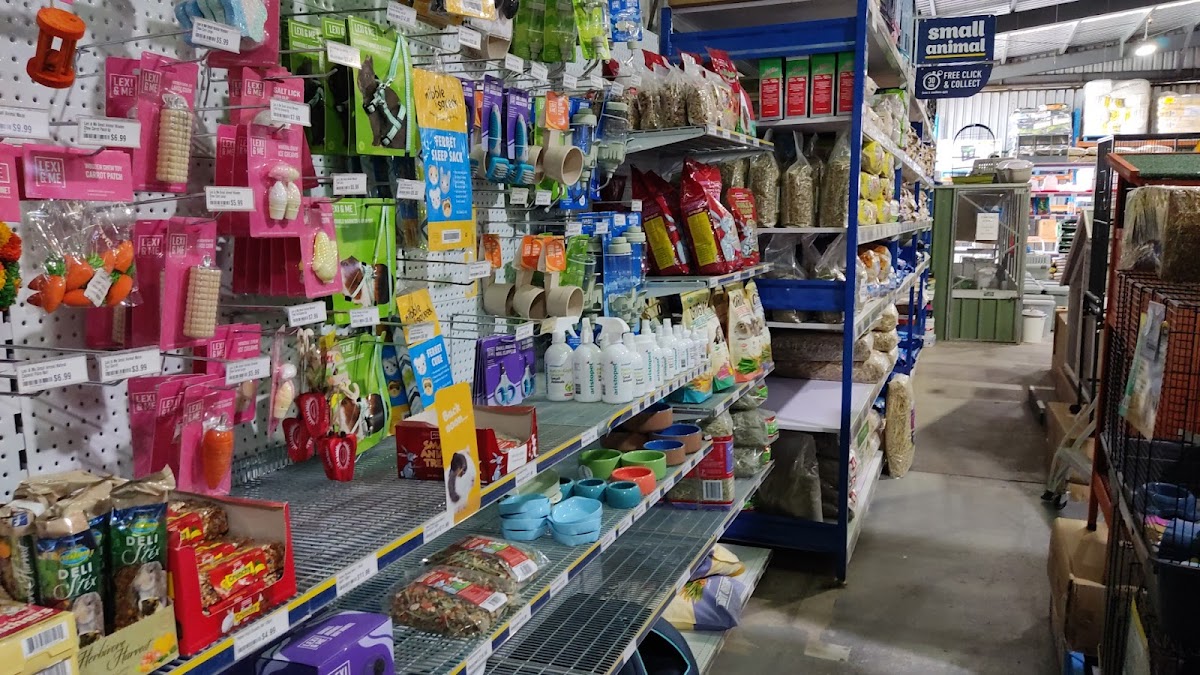 Pet store interior with shelves stocked with dog toys and supplies, showcasing a variety of products.