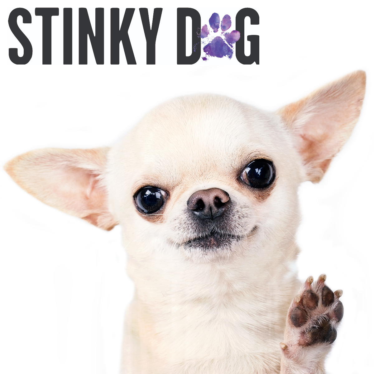 Stinky Dog Australia