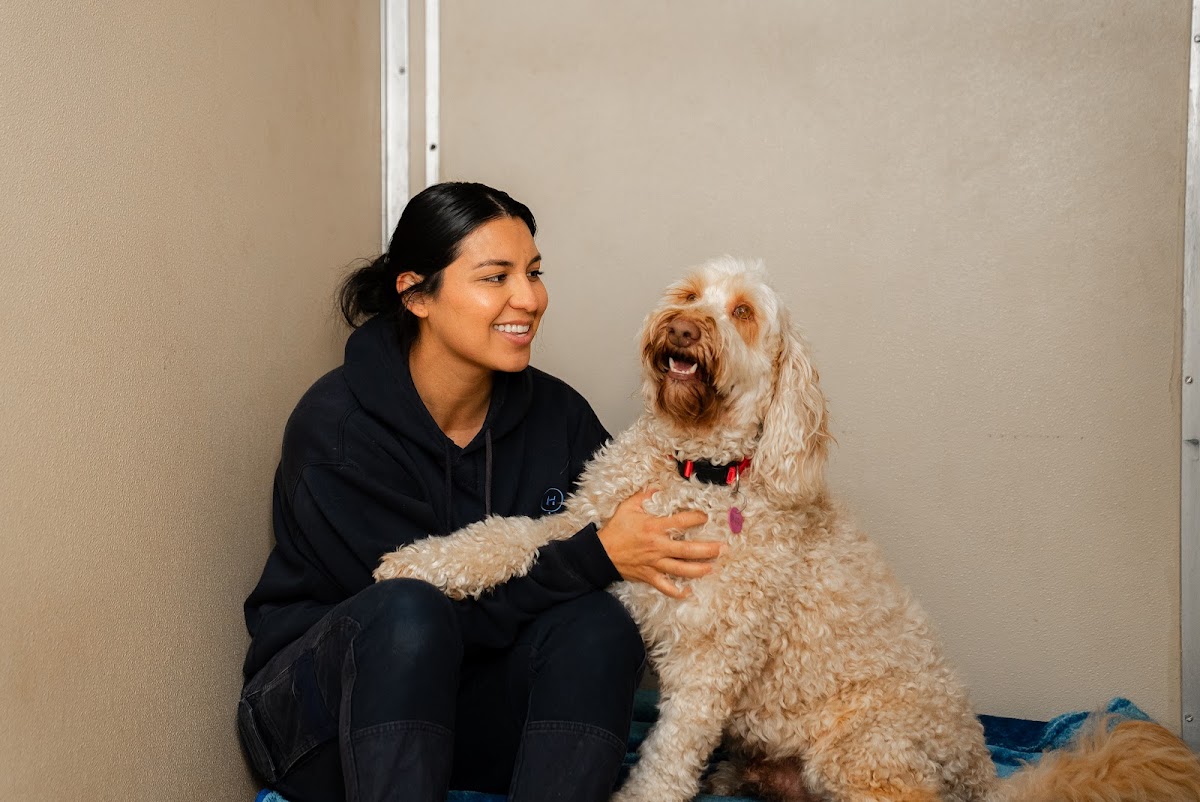 Smiling groomer petting a tan Groodle dog. Friendly interaction at pet grooming salon.