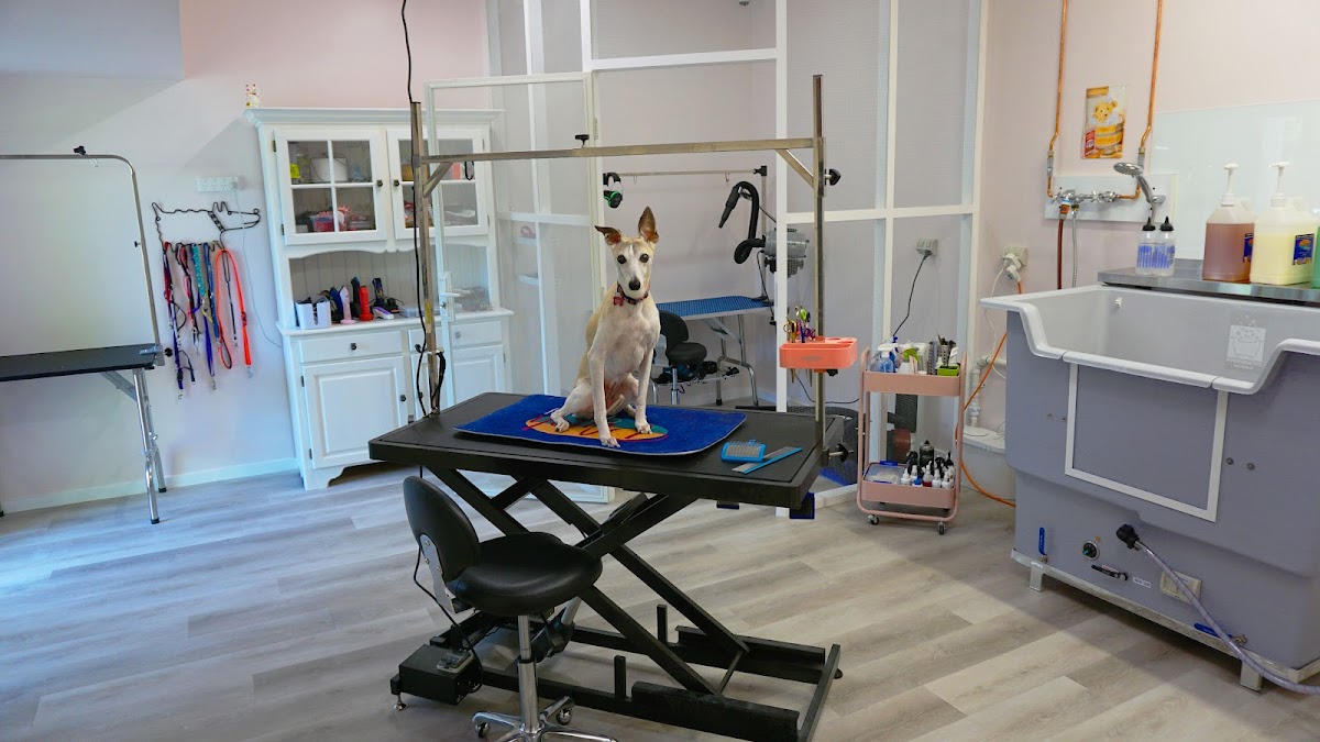 The Pampery - Dog Groomer