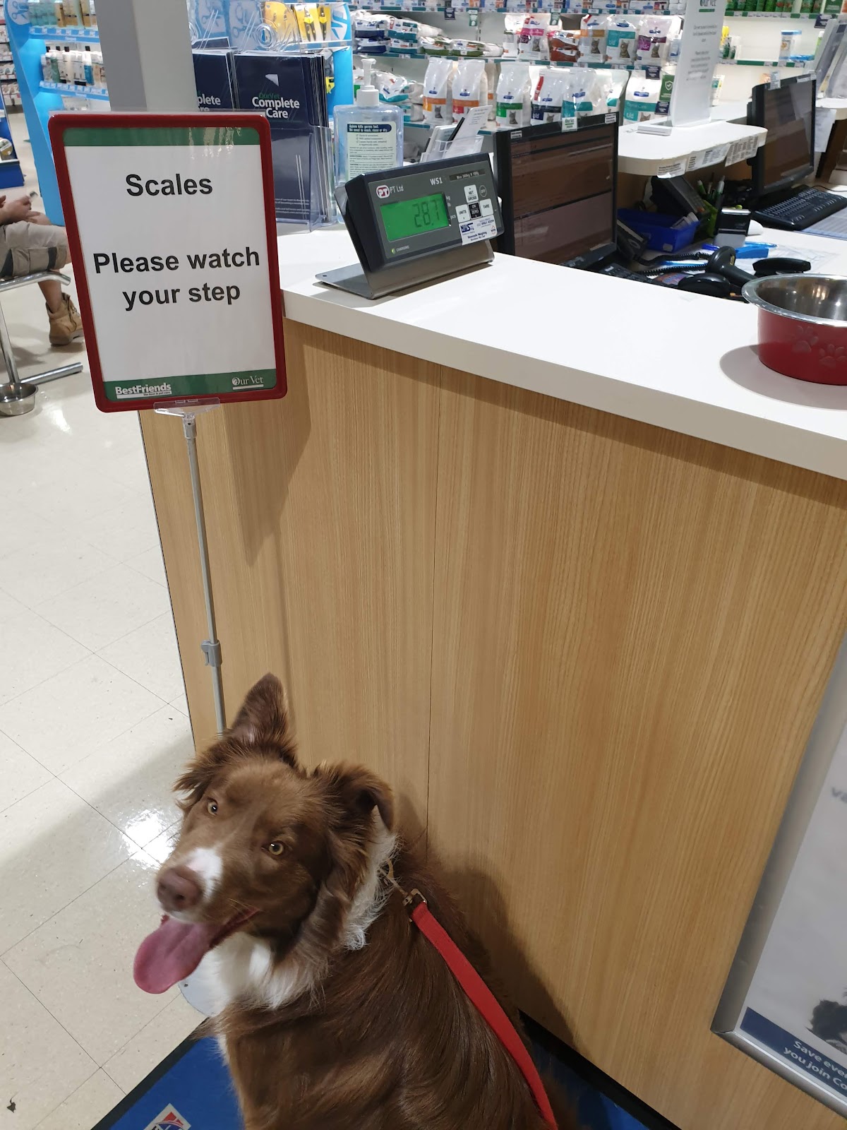 PetO Maribyrnong pet grooming salon - Photo 7