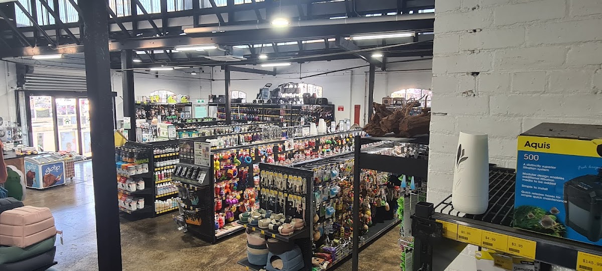 Interior of a pet grooming salon with shelves stocked with products and equipment.