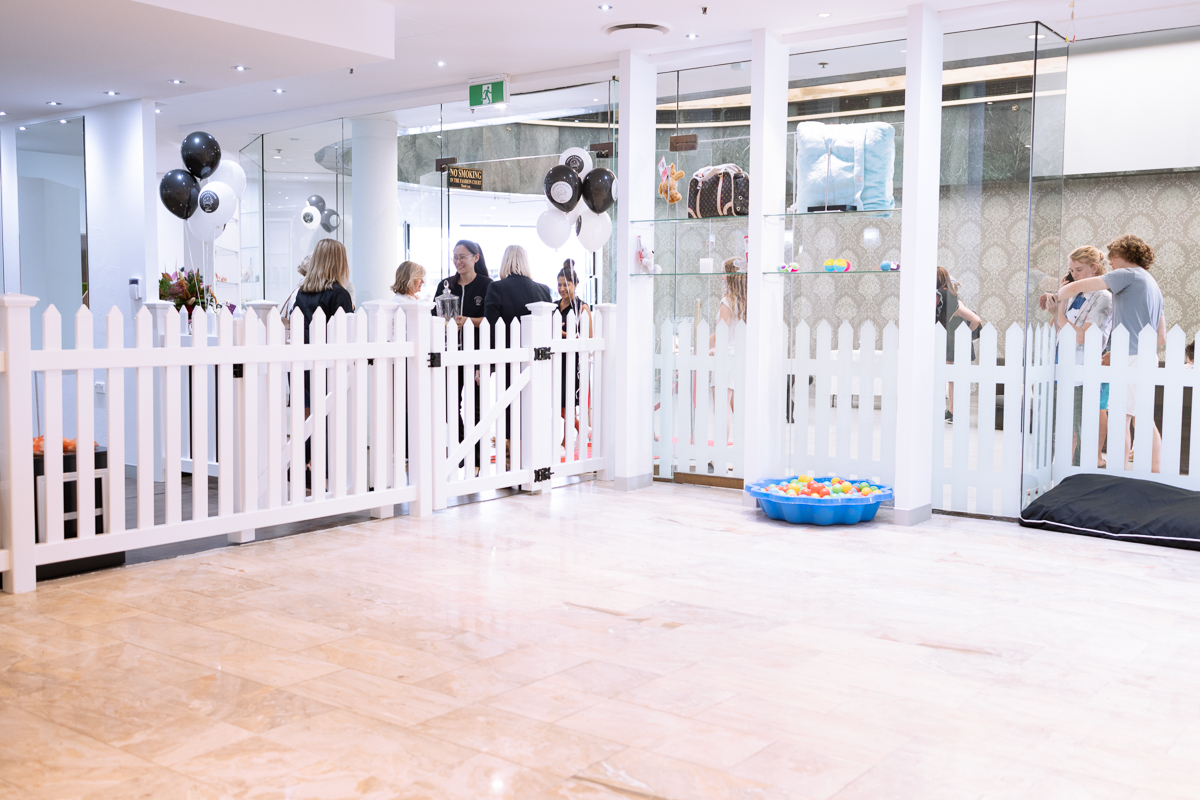 Caesar's Palace by Esteem | Dog Grooming & Day Care | Gold Coast pet grooming salon - Photo 6