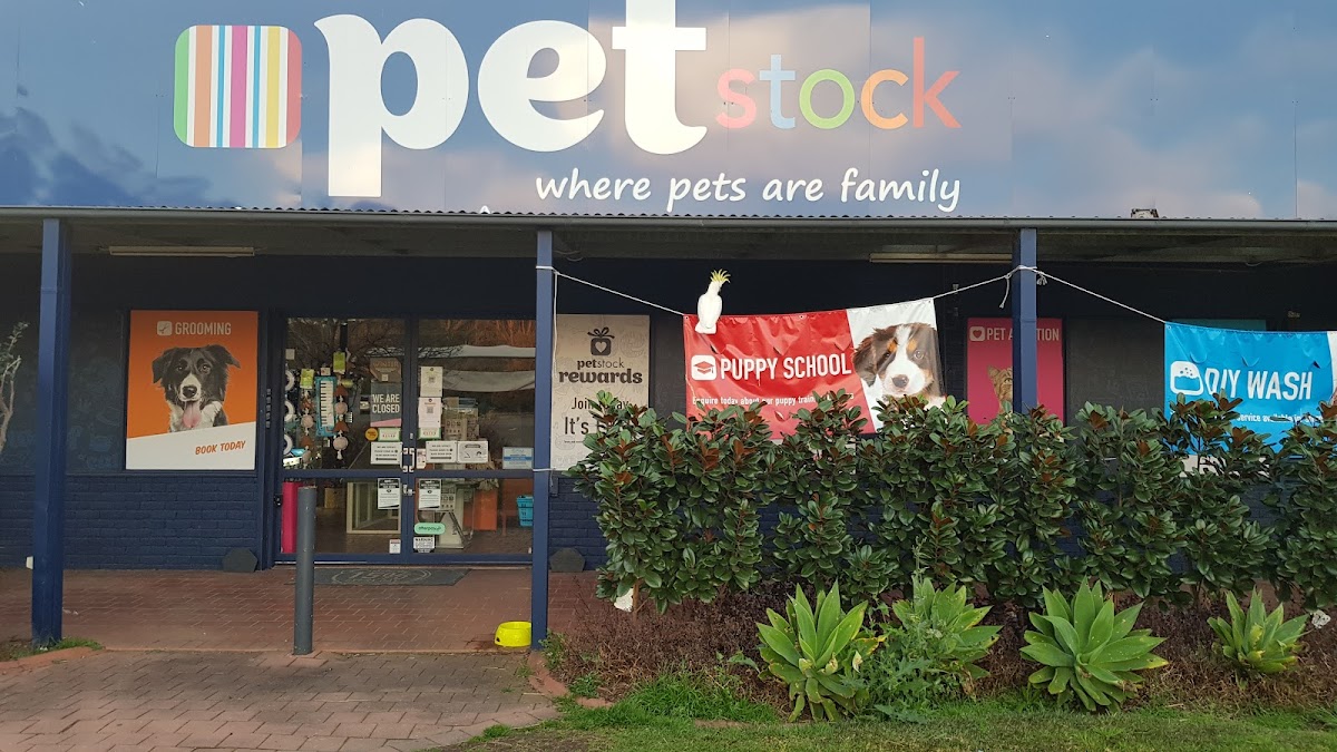 Petstock storefront with 'Grooming' sign and puppy school promotion. Unknown breed dog visible on signage.
