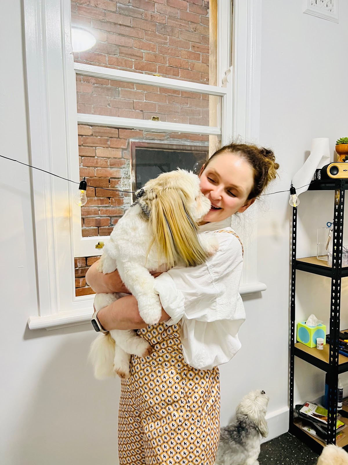 Person hugging a fluffy dog in grooming salon. Breed is unknown, likely enjoying time with the pet.