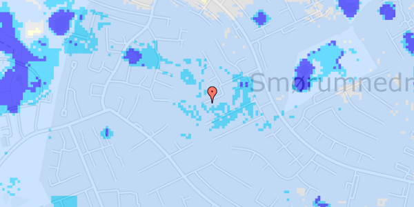 Ekstrem regn på Primulahaven 27