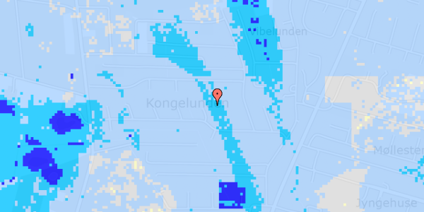 Ekstrem regn på Kongelunden 14