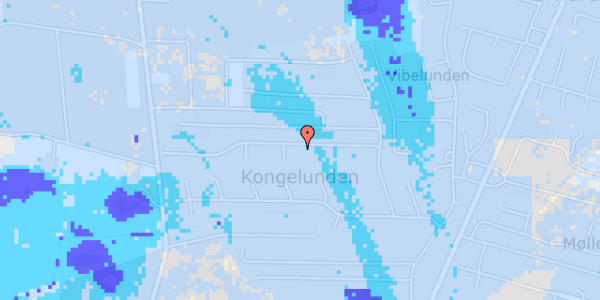 Ekstrem regn på Kongestien 13