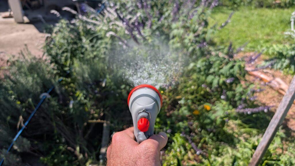 Watering plants with a garden hose nozzle.