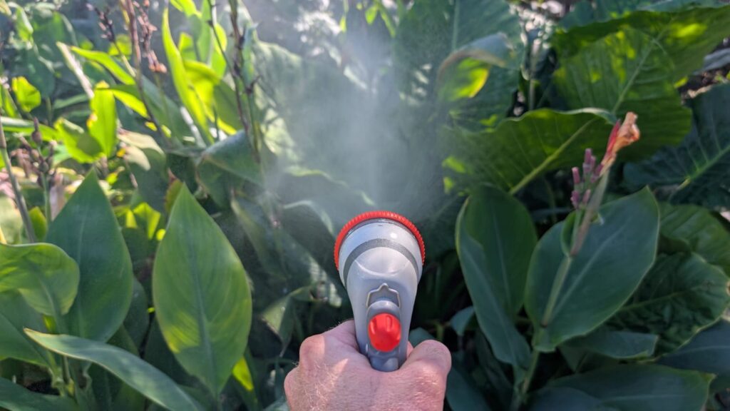 Water spray nozzle watering green leafy plants