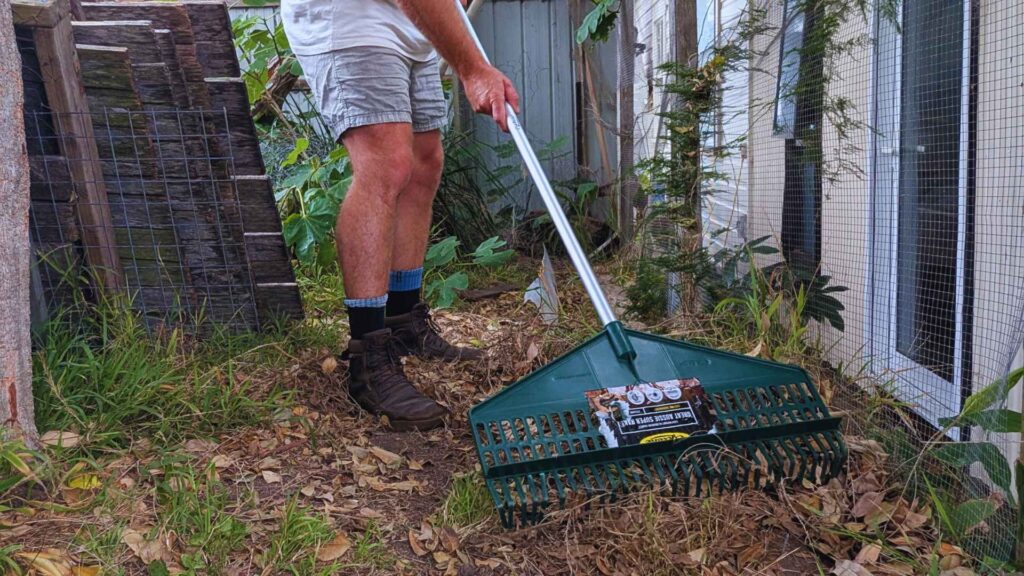 Man raking leaves in backyard garden.