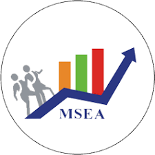 MSEA Logo