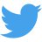 twitter-icon