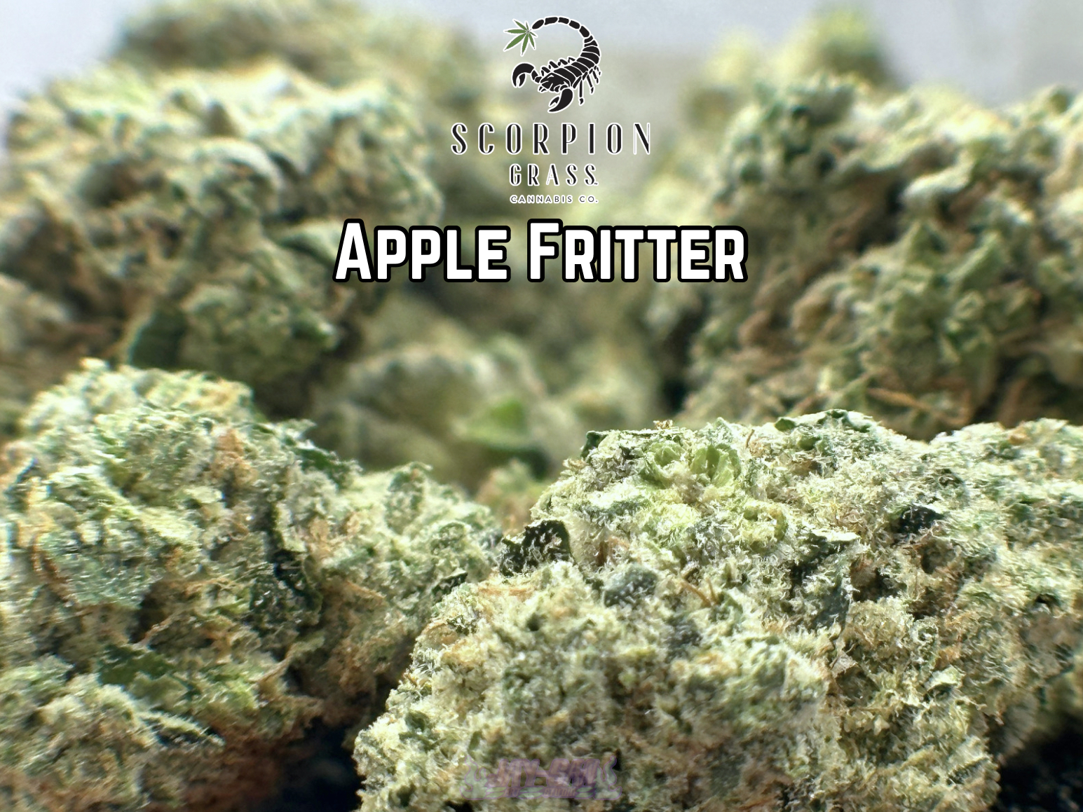 (S) Apple Fritter Deli by SCORPION GRASS