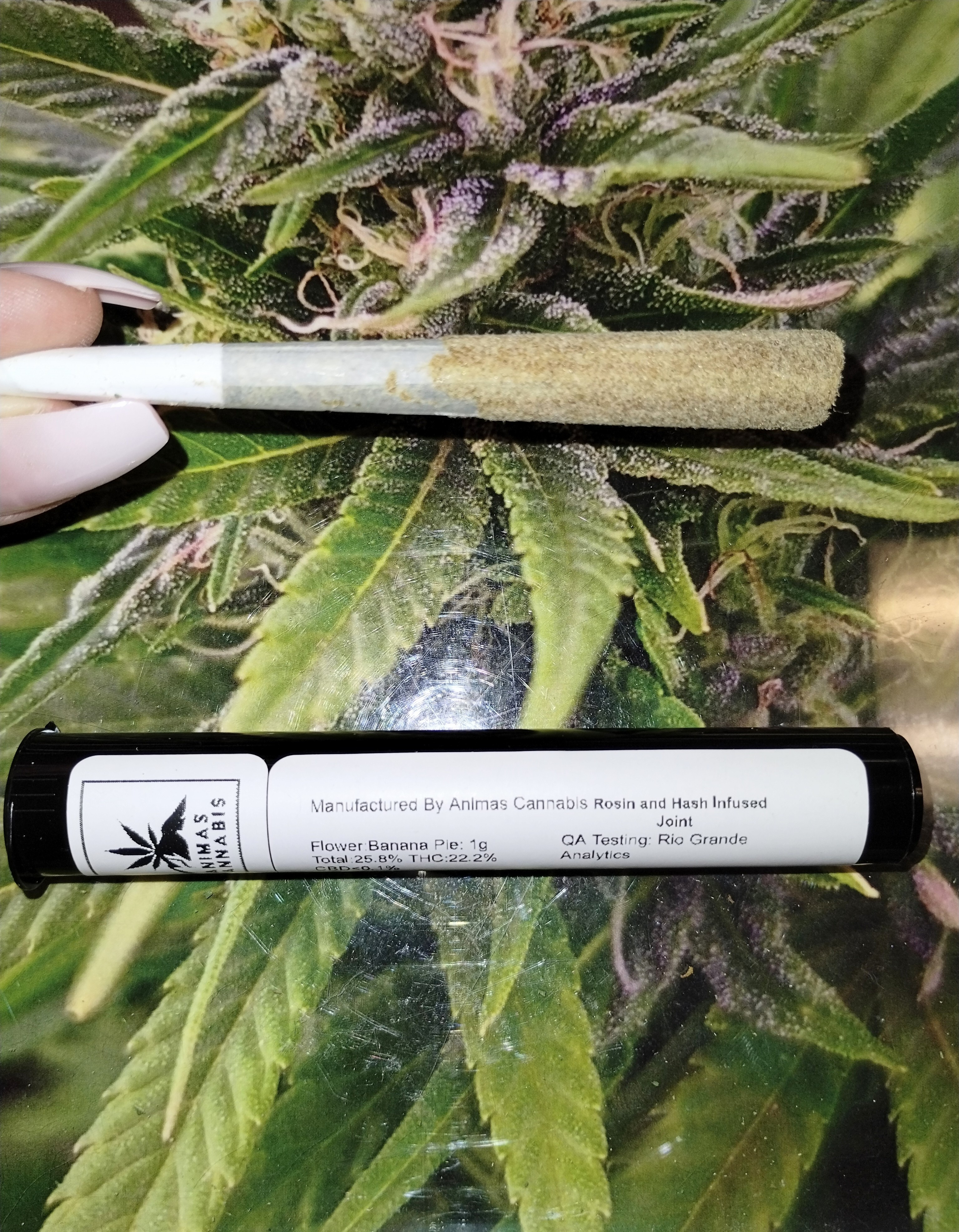 Animas Oreoz Infused Preroll 1g 