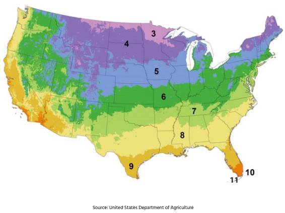 planting zone image