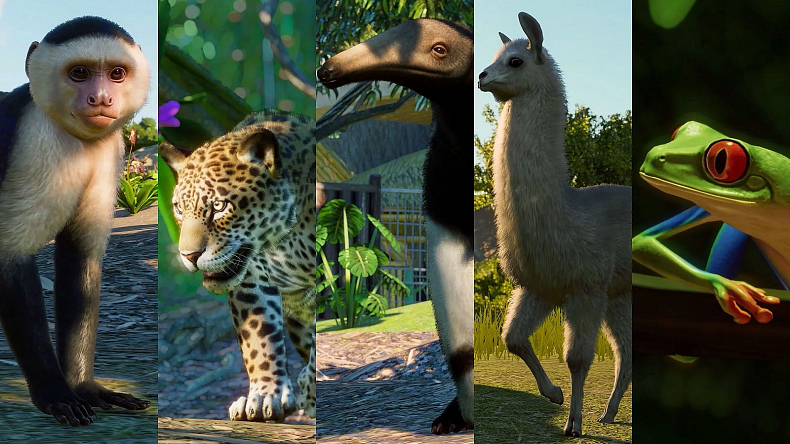 Planet Zoo se dočká dalšího rozšíření