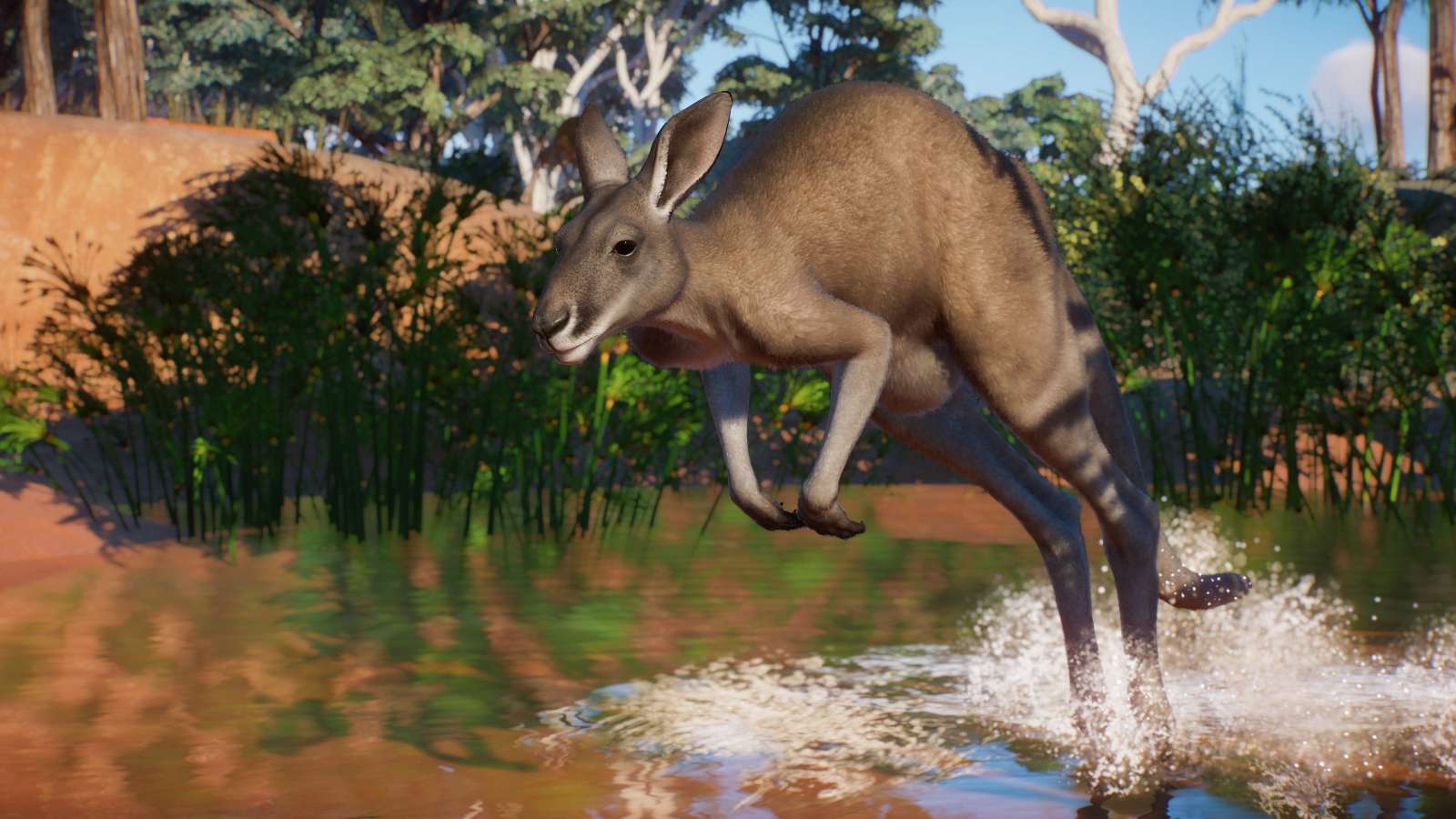 Planet Zoo zavítá do Austrálie