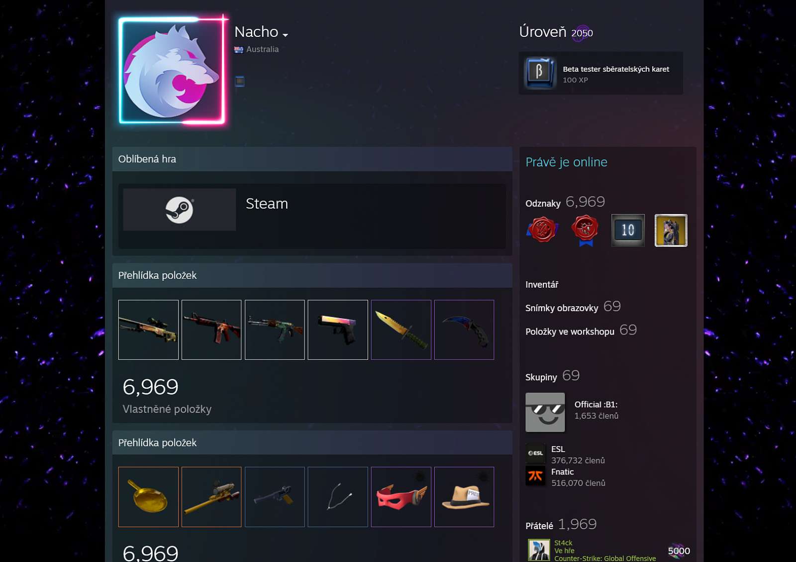 Nejpropracovanější Steam profil je pořádně nice