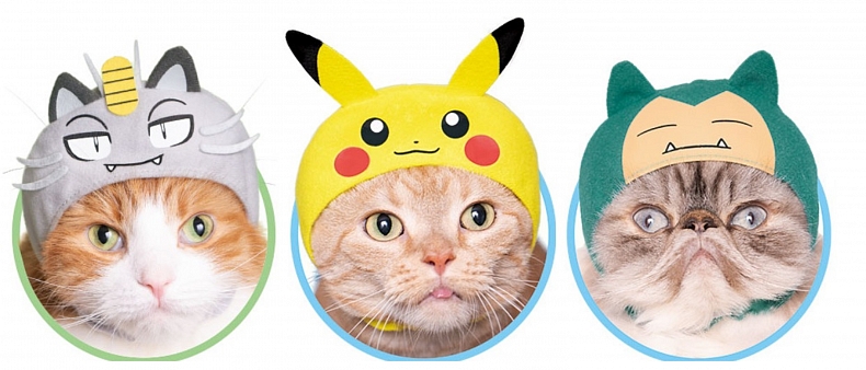 Nejlepší věc, kterou na internetu dnes uvidíte - Pokémon čepičky pro kočky