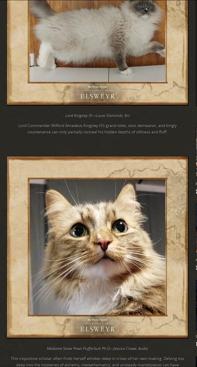 Udělejte ze své kočky postavu ze hry Elder Scrolls Online